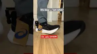 ASICS GEL NIMBUS 26 + ASMR!!! ОБЗОР ВХОДИТ!!