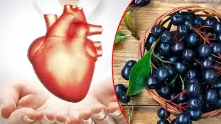 Aronia Berries: Health Facts, Benefits & More
