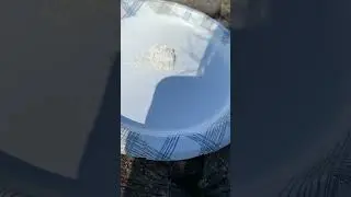 NEVER do this to your root cuttings #gardening #gardeningtips #garden