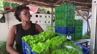 Mwamy Mlangwa, hydroponic farmer in Tanzania