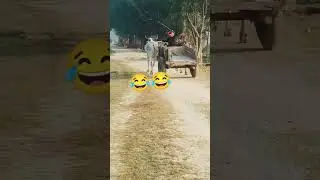 Mini vlog &hearts;️ l#trevel #keylong #village #villagelife #youtubeshorts #gaon #viralvideo #funny #comedy
