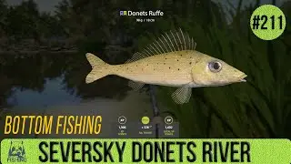 Russian Fishing 4 - Seversky Donets River - Bottom Fishing - #211