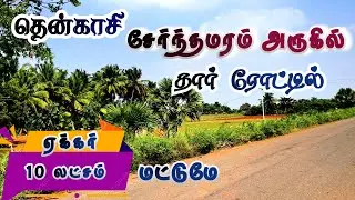 #ஏக்கர் #10 லட்சத்தில் || #தென்காசி #சேர்ந்தமரம் அருகில் 20 ஏக்கர் செம்மண் பூமி விற்பனைக்கு  🐄🐏🌴🌴🌳🌳