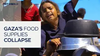 Gaza faces severe food crisis as blockade collapses community kitchens
