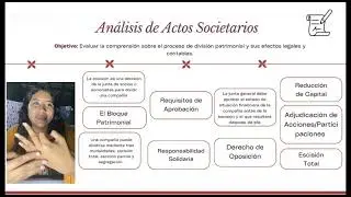 ESCISI&Oacute;N DE COMPA&Ntilde;&Iacute;AS- Adriana Iturralde
