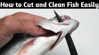 HOW TO CLEAN BIG FISH EASILY AT HOME | FISH CLEANING AT HOME