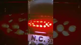 British Customs Tail Tidy and LED Turn Signals