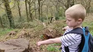 A walk around Beaconwood and the Winsel, Bromsgrove during bluebell season.