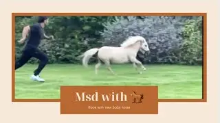 MS Dhoni Race With His New Horse 