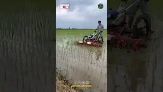 Rice Weeding Machine