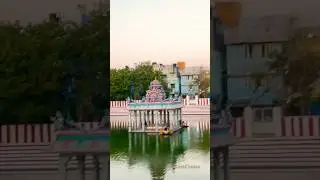 Chennai Famous Murugan/Theppakulam #murugan #song #theppakulam #bhakti #shorts #thelastcholas