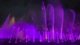 Disneyland Lunar New Year Pre-Show to World of Color