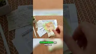 Rentabilidad de Bonos  &iquest;Qu&eacute; Debes Saber para Invertir