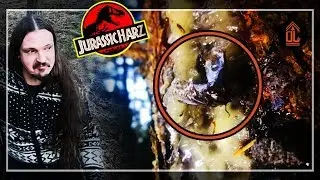 BAUMHARZ| Harz | sammeln|ernten|Verwendung|Fichtenharz|reinigen|bushcraft|deutsch|survival