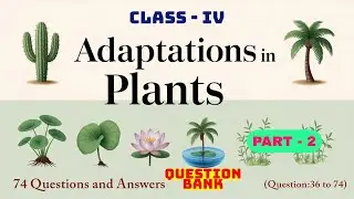 Adaptation in Plants, Part-2 (Question 36-74) | 74 Questions & Answers | Class 4 Science