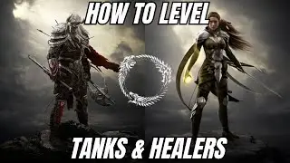 Doc's Tips For Leveling Tanks & Healers In ESO!