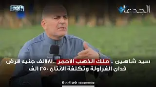 سيد شاهين .. ملك الذهب الاحمر ..181الف جنيه قرض فدان الفراولة وتكلفة الانتاج 250 الف
