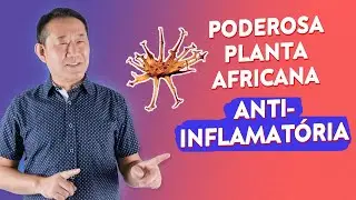 ANTI-INFLAMATÓRIO NATURAL PARA DORES | Dr.Peter Liu