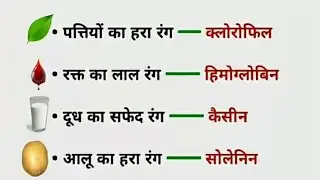 Kankal Tantra | कंकाल तंत्र पूरा Chapter | Human Skeleton System | Biology Class 2025 | #newgadgets