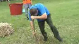 Trebnje DPM 2005