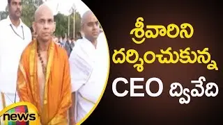 AP Election Commission CEO Dwivedi Visits Tirumala Temple | Tirupati Latest News | Mango News Telugu