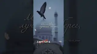 🕊🖤