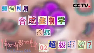 《生命如何影响生命》02 抗生素广泛依赖和滥用 细菌变异产生抗药性 形成超级大细菌【CCTV纪录】