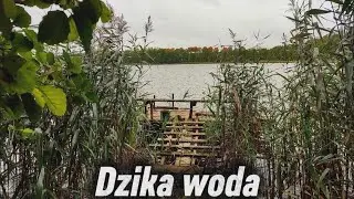 Whip fishing old lake rediscovered after 5 years....