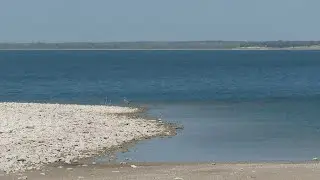 Why is Lake Whitney thriving despite low-water levels in other Texas lakes?