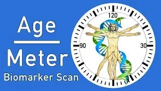 AgeMeter: определение функционального возраста по физиологическим биомаркерам | Lifespan.io