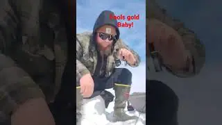 DEEP WATER PERCH ACTION #youtubeshorts #subscribe #shorts