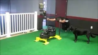 SPU Coach File - Drayson, Sled Push, 500lbs