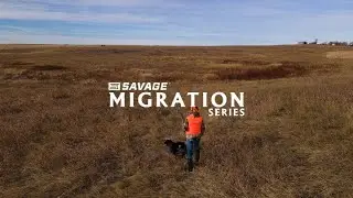 Migration Series: Missed Migration | South Dakota