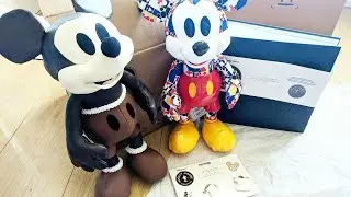 APRIL 2018 MICKEY MEMORIES ( DISNEY ) UNBOXING PLUSH + PINS / MARCH / PIN BOOK HAUL