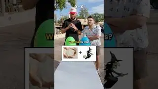 Only a Genius Can Solve These Food Brainteasers 🧠 @MikeMajlakVlogs