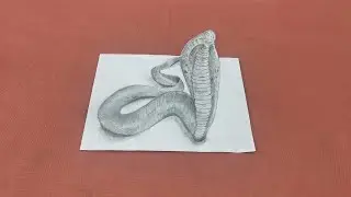 How to Draw 3D Monster - Drawing Loch Ness Monster - Awesome Trick Art