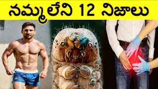 Top 12 Interesting Facts In Telugu,Unknown Facts and amazing facts, Ep.14🔥#ctcfacts
