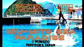 Dolphin Show @ Izu-Mito Sea Paradise Numazu Shizouka,Japan