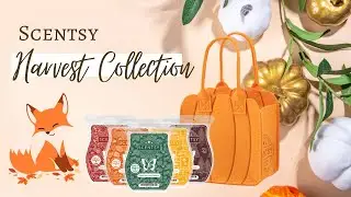 Scentsy Harvest Wax Bar Collection - They&rsquo;re Finally Here & I&rsquo;m Sharing First Sniff Impressions 