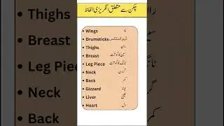 Chicken Parts Names in English with Urdu Translation | Learn Meat Vocabulary