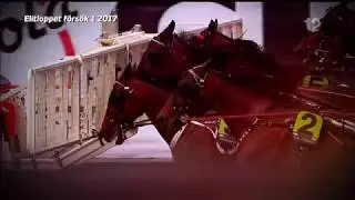 Travåret 2017