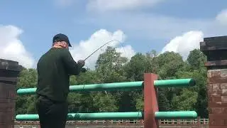Ganasnya Ikan Muduk Bendungan Tukad Mati Kuta #lanmancinhhuu #fishing #mancingmania #fishingbali