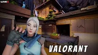 Stream Before Operation #valorant