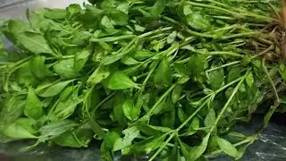 ডিমাই শাক কিভাবে ভাজবেন | easy recipe | dimai shak recipe | দেখুন সম্পূর্ণ ভিডিওটি|