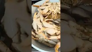 Spicy Dungeoness Crab receipe.  Merry Christmas 2025 #merrychristmas #crab