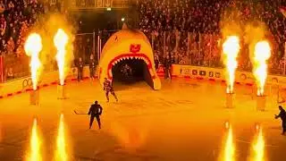 Kölner Haie - Augsburger Panther (05.01.25): Vorstellung & Einlauf der Spieler des KEC