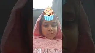 Cupdog