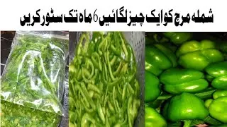 How to Preserve Capsicum for 6 Months \ Shimla Mirch ko Store kerny ka Asan Treqa by My food facts