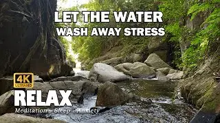 8 Hours Deeply Sleep 🌙 Relaxing Nature ASMR to Reduce Stress & Anxiety