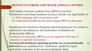 How is protein synthesized -Translation part 3